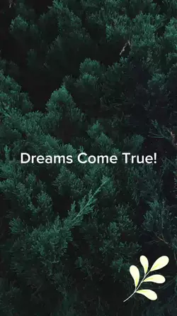 Dreams Come True
