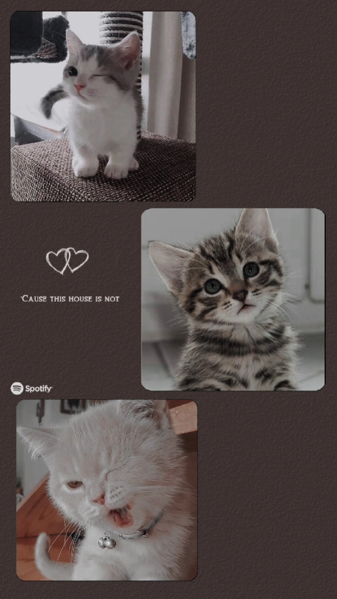 my baby