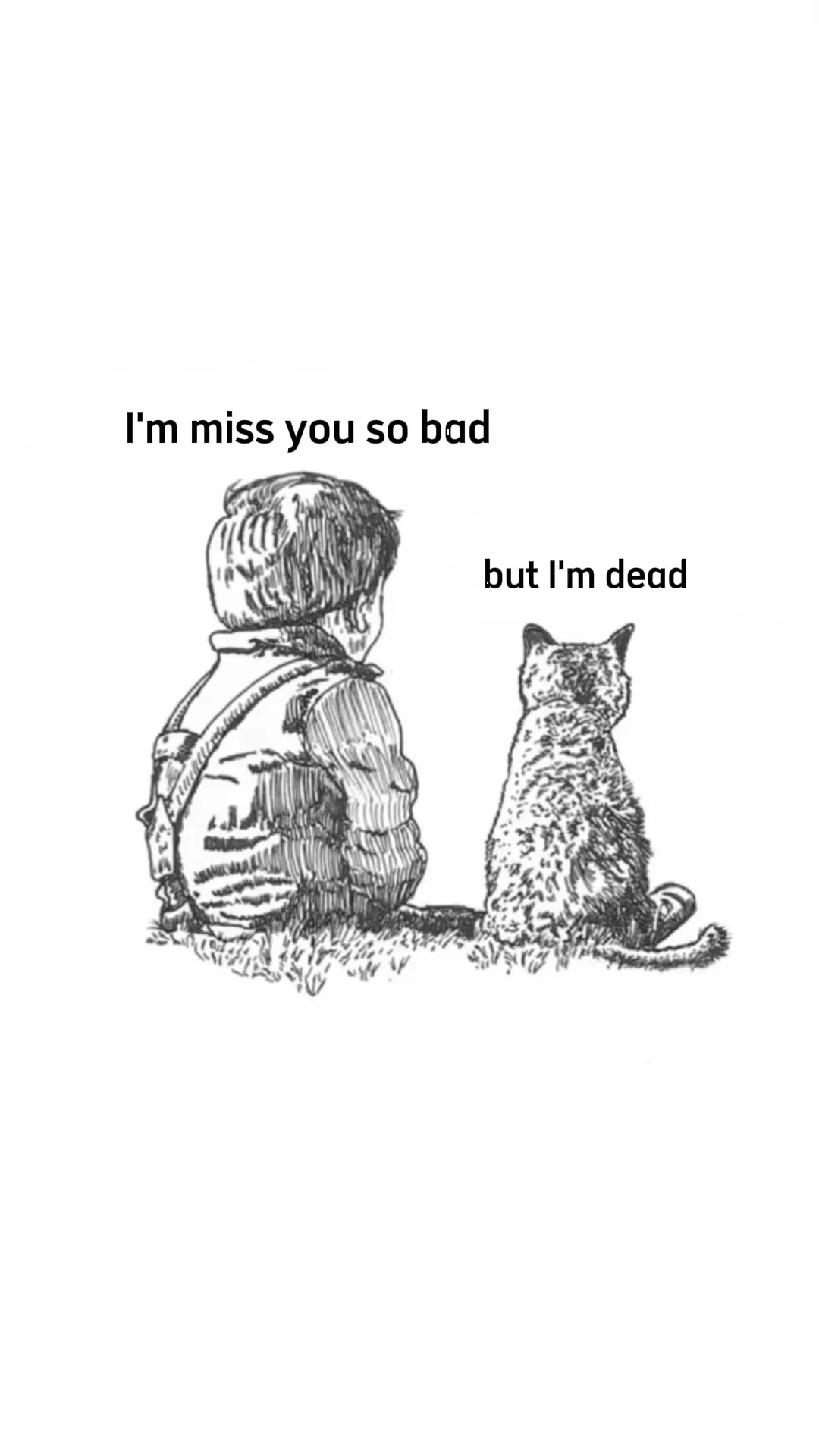 ver kucing 'mati'