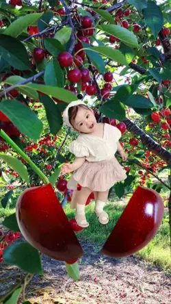 Bocah Cherry