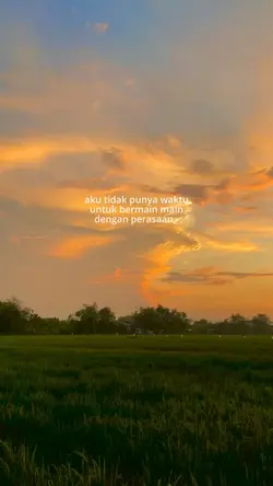 2926 sunset