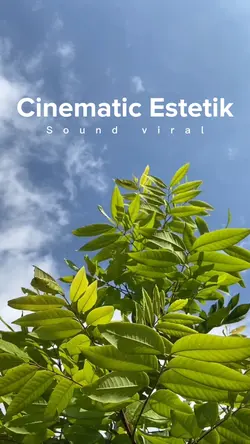Cinematik Estetik