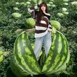 watermelon meme