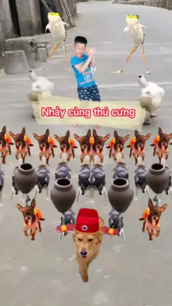 Nhảy cùng thú cưng