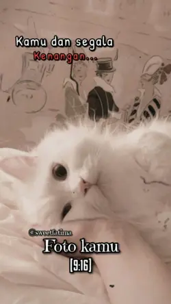 Kamu dan segala