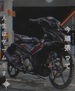 flex mo motor mo