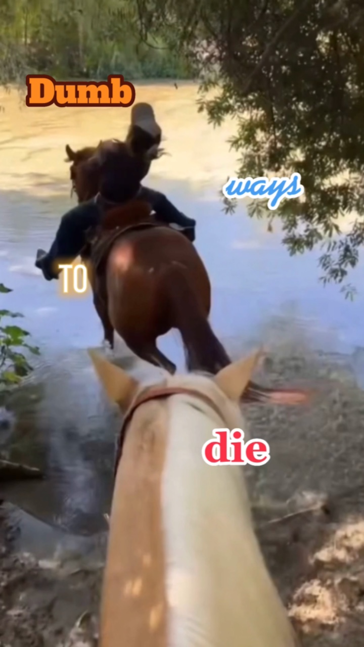 愚蠢的死法