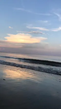 share vd biển