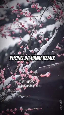 6 ảnh cuốn