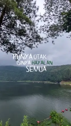 kebanyakan ngehayal