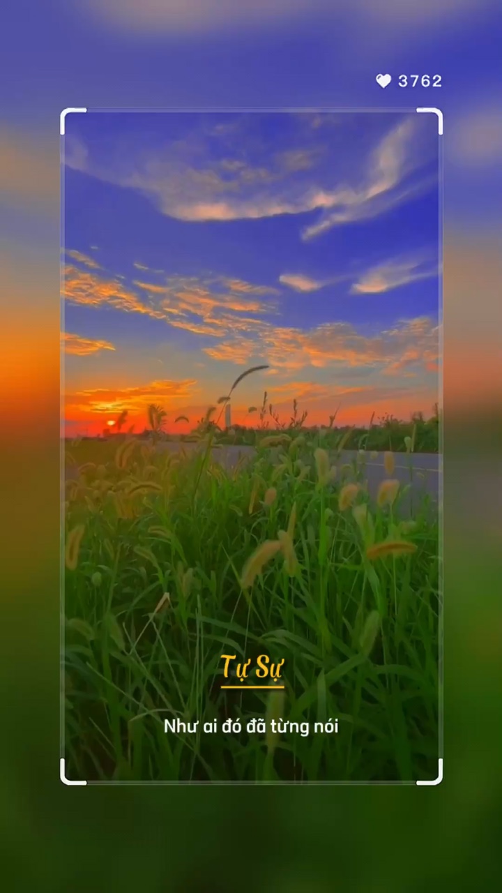 T S🌼