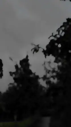 wana maak cinematic