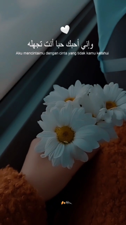 Syair Arapça | Slowmo