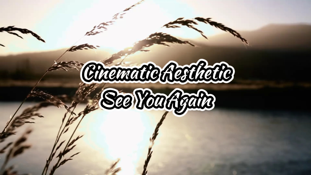See You Again