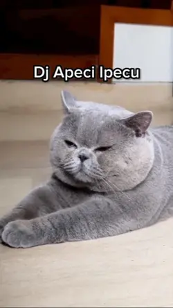 Dj Apeci Ipecu