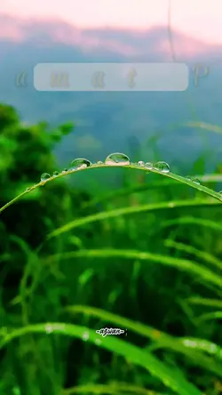 Selamat Pagi