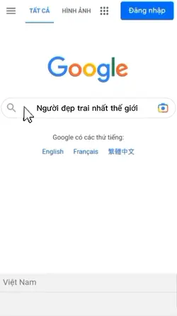 Mẫu Google tìm kiếm 