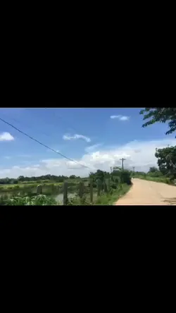 1video + 1pic