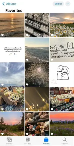 15 รูป / วิดีโอ