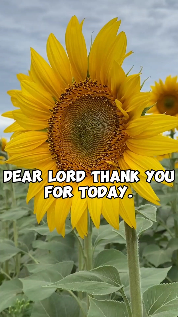 God is Good