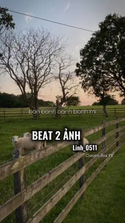 Beat 2 ảnh