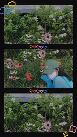 Mẫu 3 ảnh dễ thương 