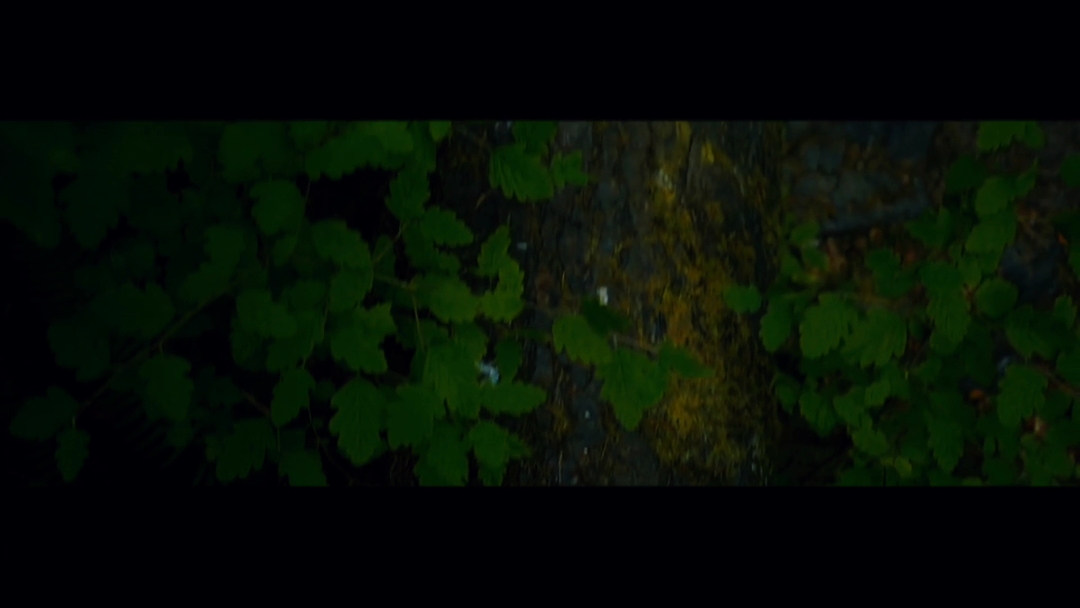 Pengantar horor