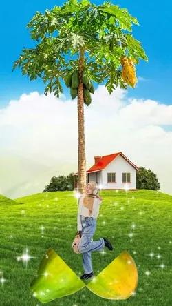 Mẫu trái cây
