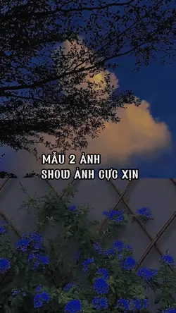 Mẫu 2 ảnh