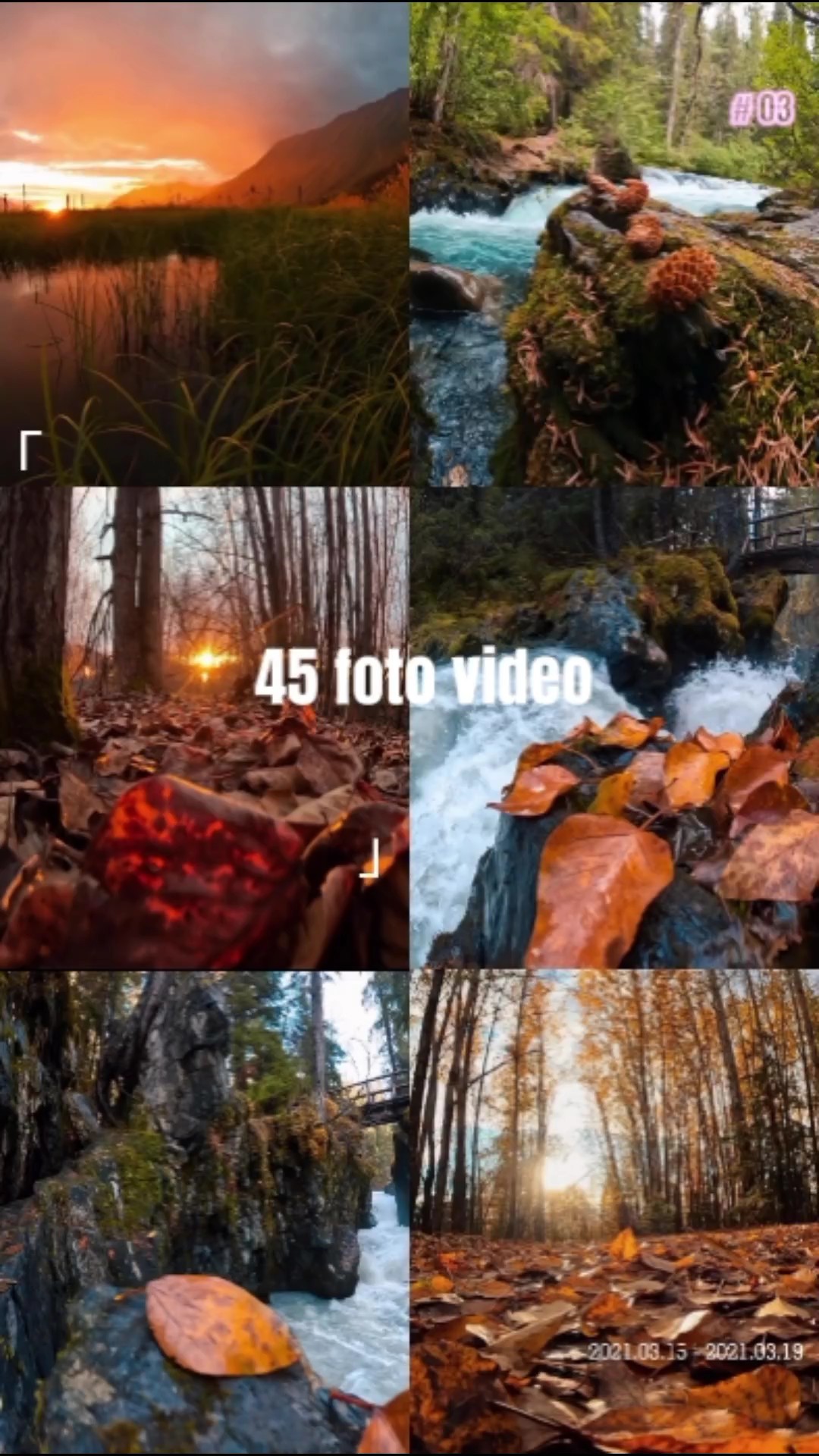 45 klip foto vídeo
