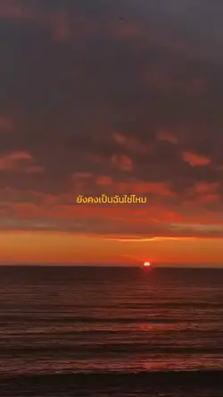 นักสะสมเพลงเศร้า 