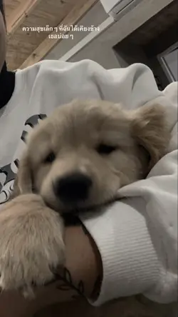 ความรักที่เธอให้มา🧺