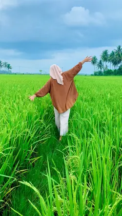 Musik india viral TT