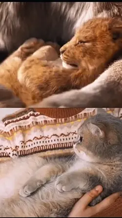 Simba si raja hutan