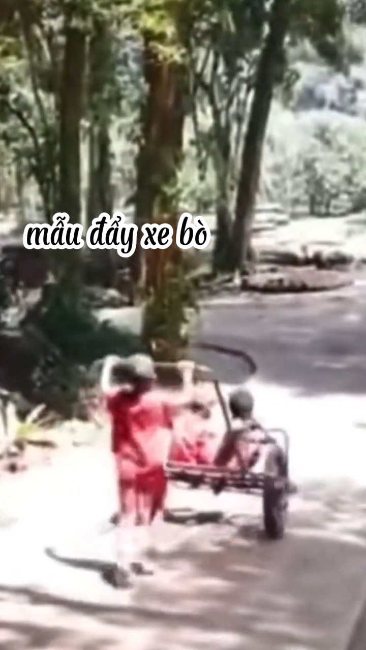 aku cinta kamu 3 anh em 