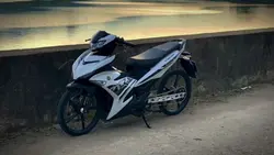 tông màu đen chi mấy