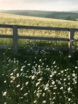 sad vlog