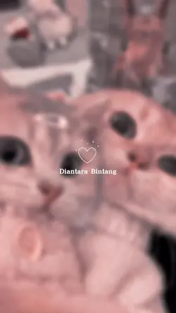Beribu Bintang
