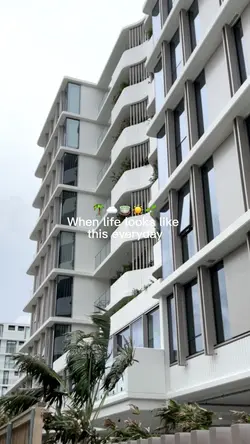 Life lately 🫶🏽☀️🌴