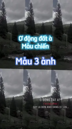 Mẫu 3 ảnh chiến 