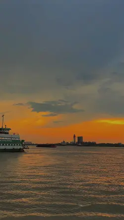 Mẫu 1 video