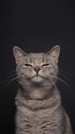 Ikhlas lan nerimo