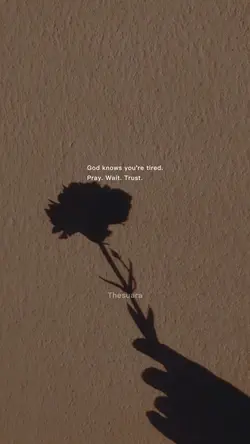 🫶🏻
