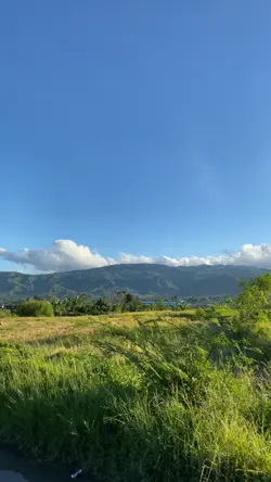 Kayo layang