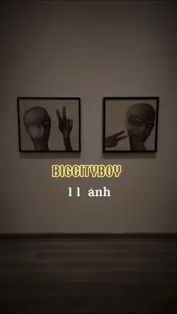 BIGCITYBOY 