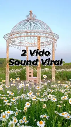 2 Vidio Transisi
