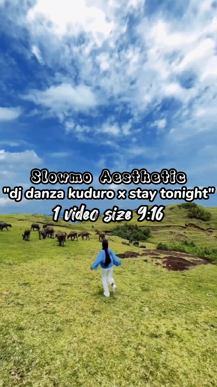 Vidéo Slowmo Trend 1