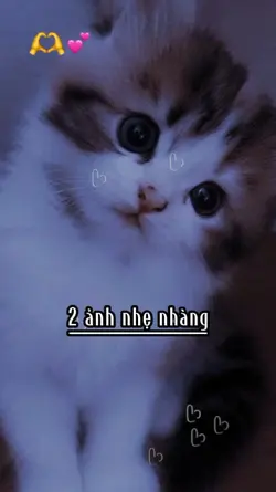 2 ảnh nhẹ nhàng