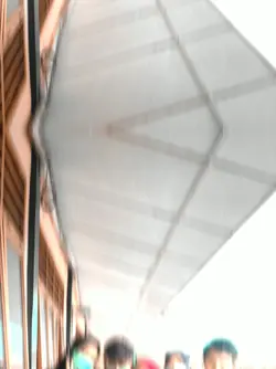 Seru Nih ViralTiktok