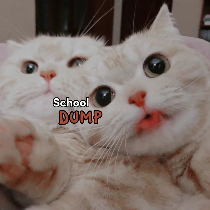 school dump